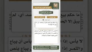 صورة 11127 - حكم بيع الحب والثمر قبل الحصاد -  نور على الدرب