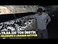 Yılda 220 Ton Üretip, Kilosunu 8 Liradan Satıyor Yılda 220 Ton Üretip, Kilosunu 8 Liradan Satıyor