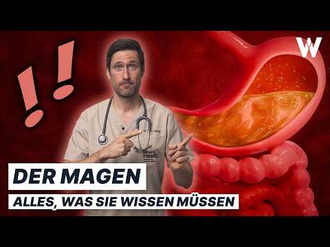 Unser Magen: So hältst Du Dein Powerorgan gesund und beschwerdefrei!