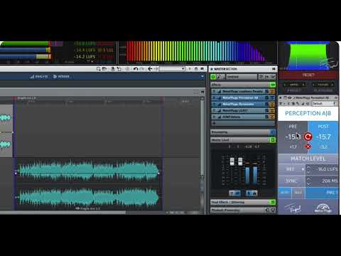 02 Ian Shepherd Demonstrates Perception