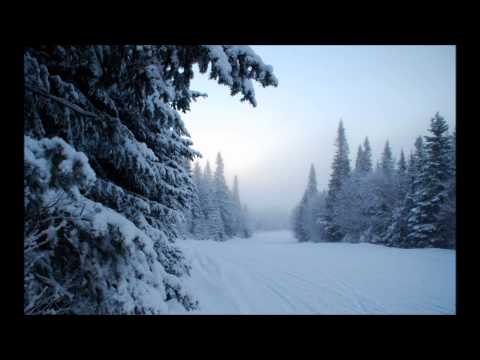 Pavel Samiec - Když po poli chodí Smuténka - III. Vteřina v lednu