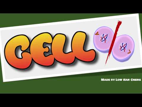 Cell%