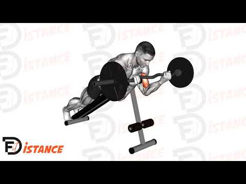 Exercice Curl spider barre EZ