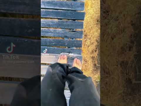 Most flower sun 😎 rise