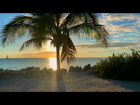 Praia - Mar - Paisagem linda - Pôr do sol - Vídeo de fundo - 9s