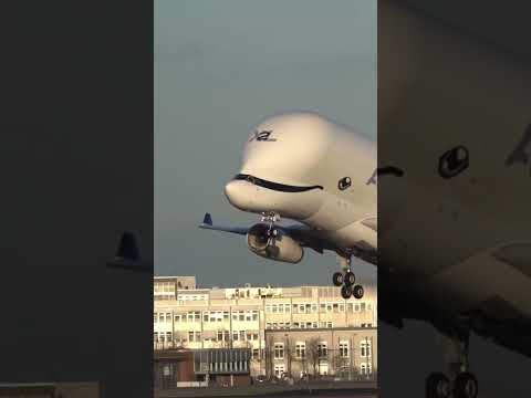 Airbus Beluga XL epic takeoff in Bremen 🤩😱#airbus #airbusbeluga #takeoff #aviation #trend #viral