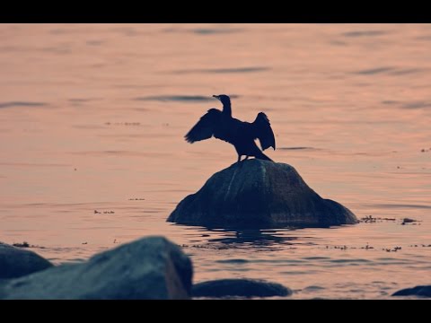 Aktiv mit Binz in den Frühling starten
