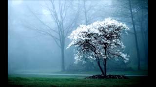 Alcest -  Printemps Emeraude