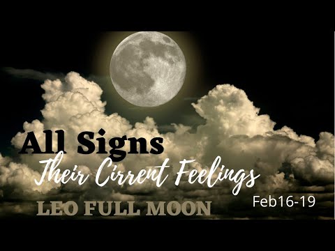 ALL SIGNS " THEIR CURRENT FEELINGS; LEO FULL MOON FEELS" FEBRUARY 16-19 2022 TAROT