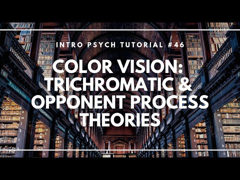 Color Vision: Trichromatic and Opponent Process Theories (Intro Psych Tutorial #46)
