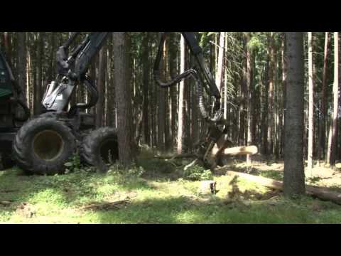 Harvester - Was ist das?