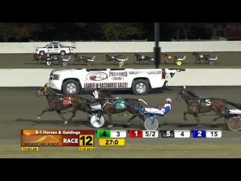 Meadowlands November 15, 2014 - Race 12 - Long Live Rock
