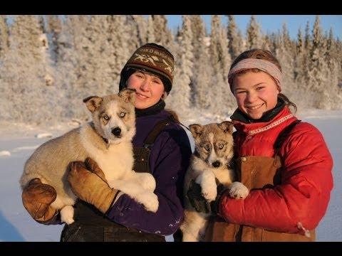 Trailer-Vorschau: Not Without My Dogs