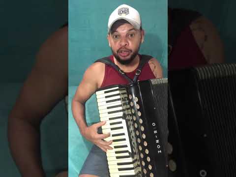 Sanfoneiro Pegue A Sanfona - Jailson Pereira Boás