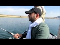 TURNA AVI TURNA BALIK AVI HD DYA