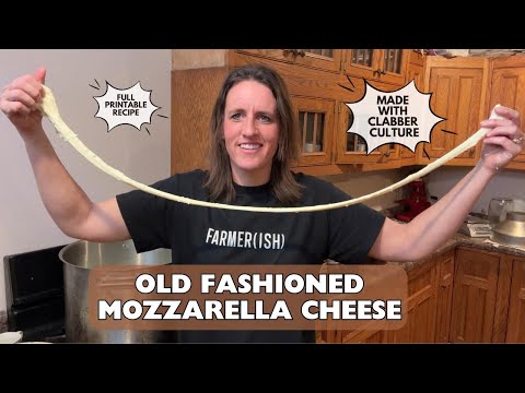 Old Fashioned Mozzarella Cheese Recipe