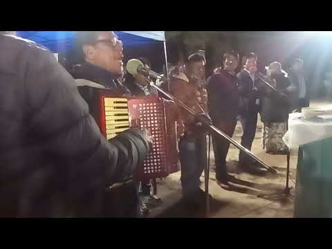 Los lirios del campo de pampa del indio Chaco.