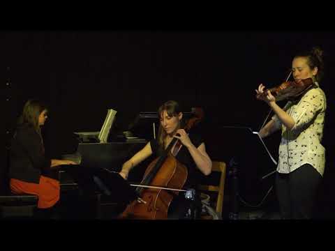 Orange Mist Trio (live) - Dansen in de keuken (scottish composed by Toon van Mierlo, Naragonia)