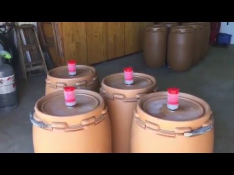 Small Distillery Fermentation Barrels