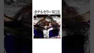 手をつないでいる異変と出会えます #shorts #雑学 #心霊スポット