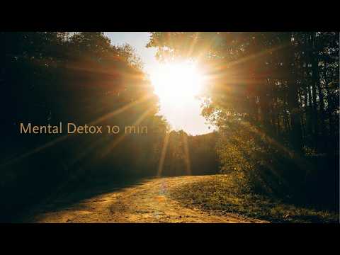 Mental Detox with Lofi | Talk, Release, Reset