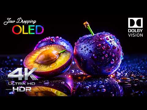 JAW-DROPPING OLED Demo | Dolby Vision 4K HDR 240FPS Ultra HD (4K TV Test)