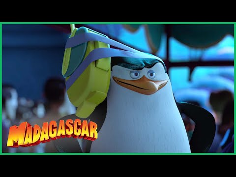 Capa de O pinguim Recruta tem planos malucos | DreamWorks Madagascar em Português