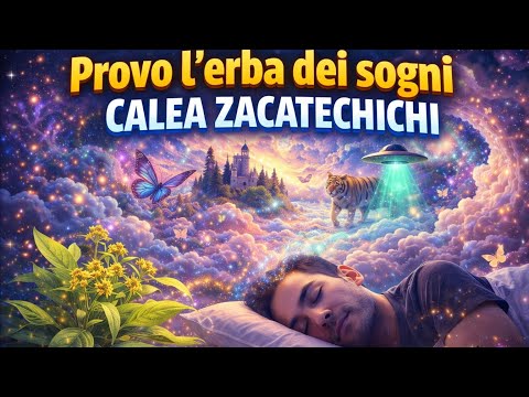 Provo l’erba dei sogni - CALEA ZACATECHICHI