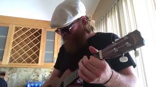 Mandolin Rain - Bruce Hornsby done by Brock