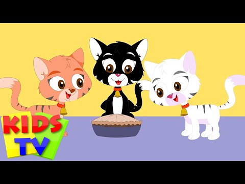 three little kittens | three little cats | nursery rhymes | songs for children | baby lyrics
