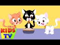 Three Little Kittens Three Little Cats Nursery Rhymes Songs For Children Baby Lyrics