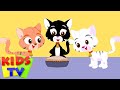 Three Little Kittens | Popular nursery rhyme for kids ...