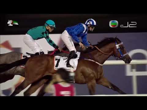 2016 Dubai Golden Shaheen G1 - Muarrab (無以倫比) - P Hanagan (香港四匹參戰馬均大敗而回)