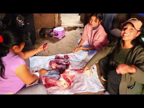 HERRANZA 2026 - SAN LUIS DE TACCARAISO - LUCANAS - AYACUCHO ( FAMILIA PALOMINO ).