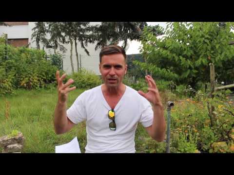 Goldangst 3: Was bringt Mentaltraining?