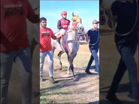 Hermoso ejemplares🐎🇵🇾 Yabebyry misiones Paraguay🚀💨🎉#amantesdelcaballo
