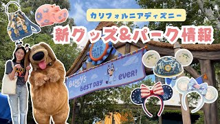 【最新】ディズニーランド新グッズ＆最近のパーク情報