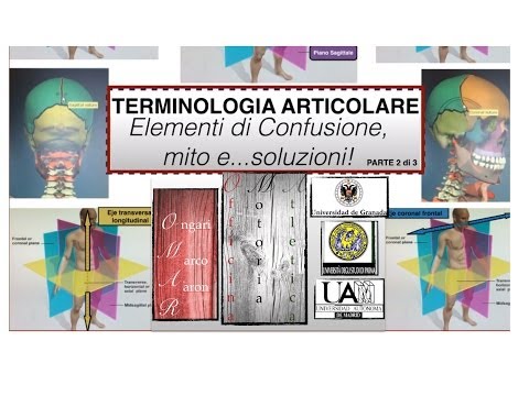 Intorpidisce la faccia di osteocondrosi Perché mal di schiena nel primo trimestre