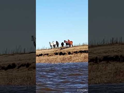 3er día de Travesia en Kayak simple Río Salado 130km de Gral Belgrano hasta Castelli RN2