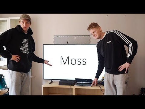 A  Powerpoint presentation about Moss