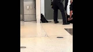 ロサンジェルス空港