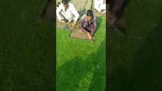preview picture of video 'Green grass farm Pakistan +923007478898'