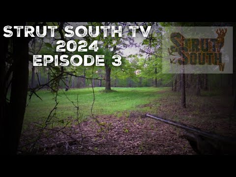 Strut South TV Ep 3 | Turkey Hunt | 2024