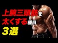 【筋トレ】上腕三頭筋を太くする種目 3選 | 現役ボディビルダーが解説【ビーレジェンド プロテイン】
