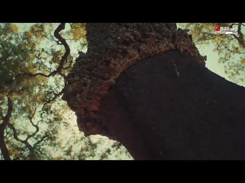 Martinotti / Catano VS Primon / Truong - International Biathlon-Teams CUP 2023 Qualification