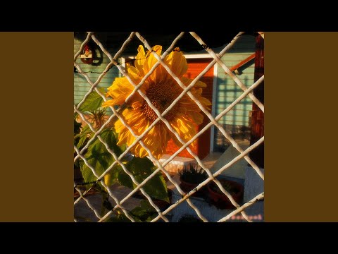 Video thumbnail for Oh darling