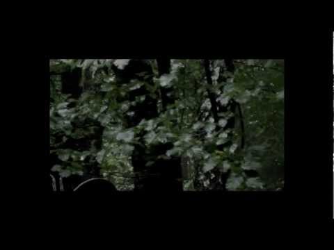 Bitva o Mokrý Lom 2012