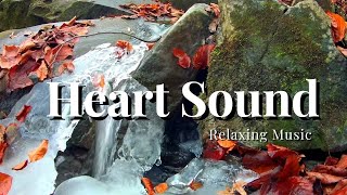 Relaxing Music and Sounds of Nature.