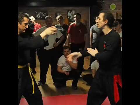 Wing Chun Kung Fu Master : Didier Beddar - short 1