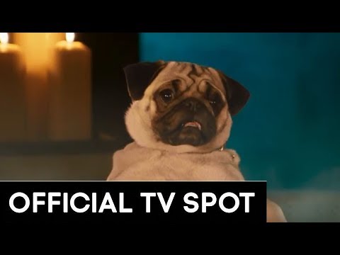 Show Dogs (TV Spot 'Barking Mad')
